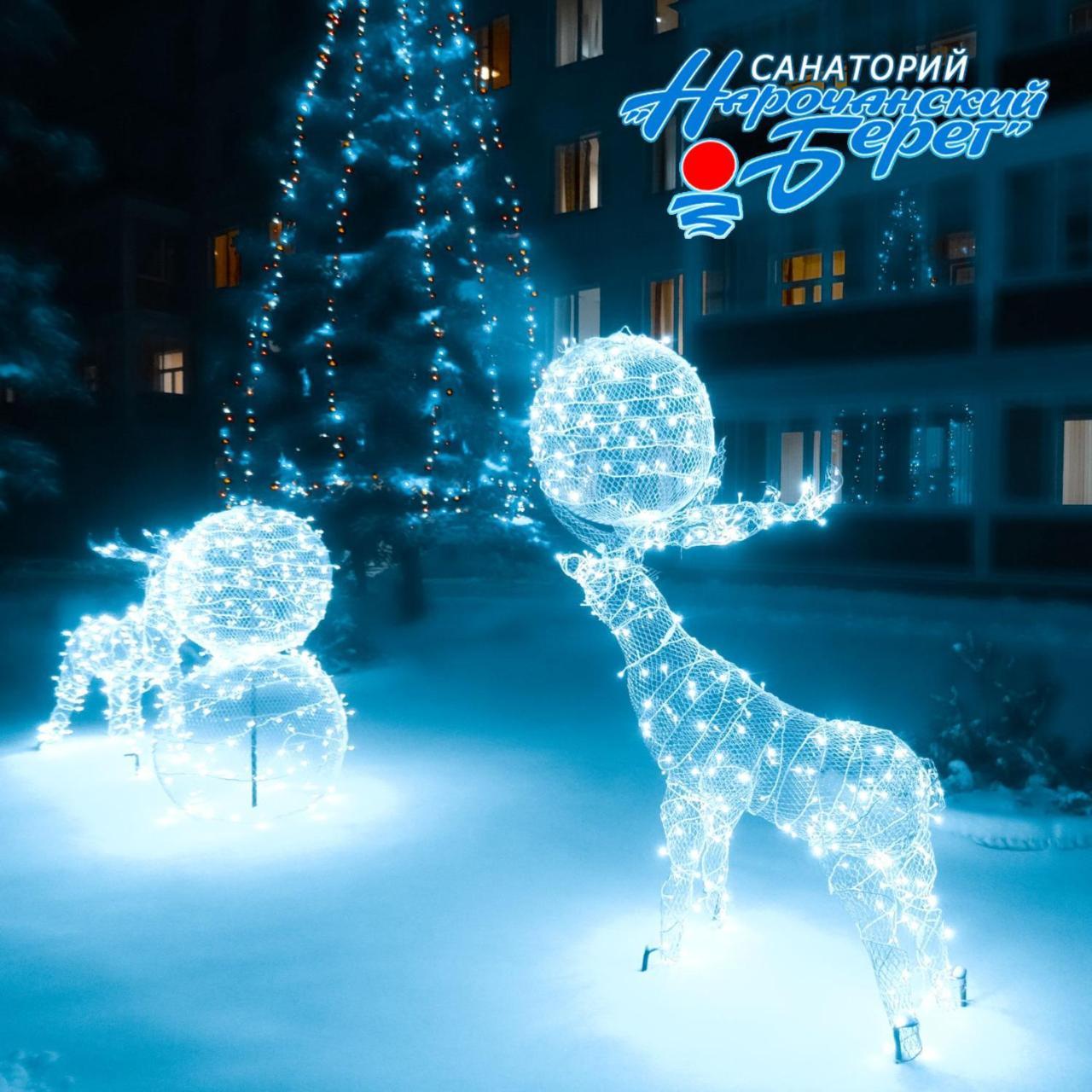 Narochanskiy Bereg Sanatorium Esterno foto
